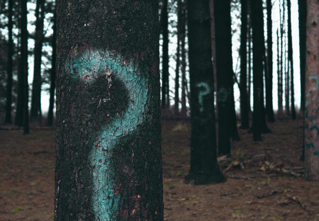 forest trees marked with question marks