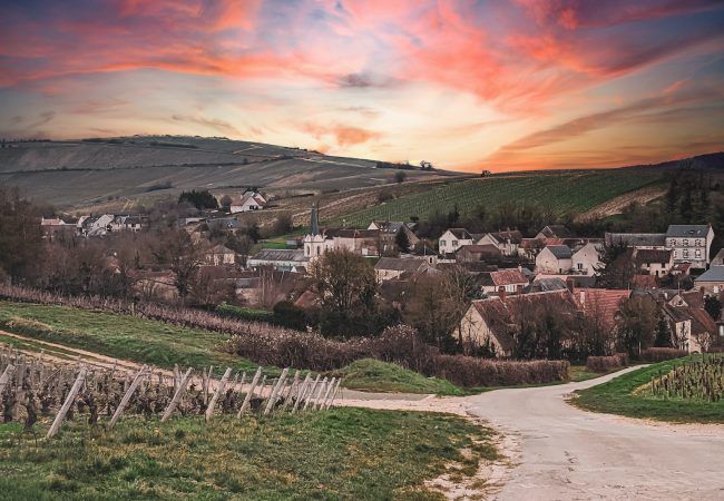 houses on green grass field during sunset