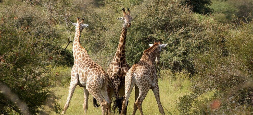 Eine Außenbeziehung zwingt zur Klarheit