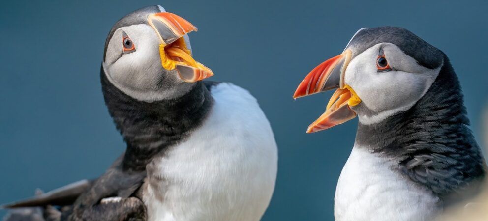Streiten - aber bitte richtig! Streiten - aber bitte richtig!
